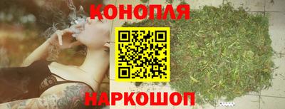 соль ск Гатчина