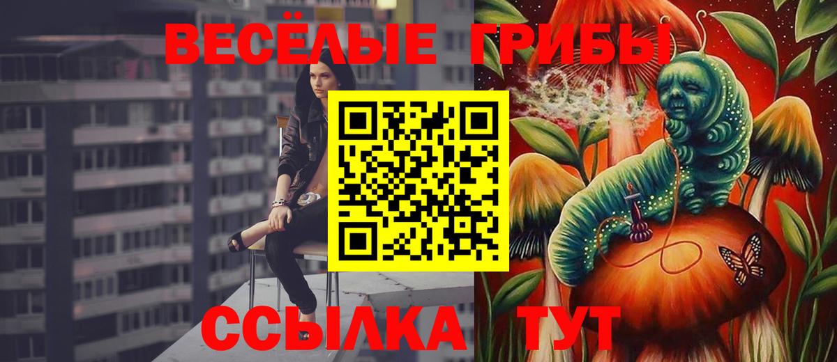 Псилоцибиновые грибы GOLDEN TEACHER  Псилоцибиновые грибы GOLDEN TEACHER  Гусь-Хрустальный 