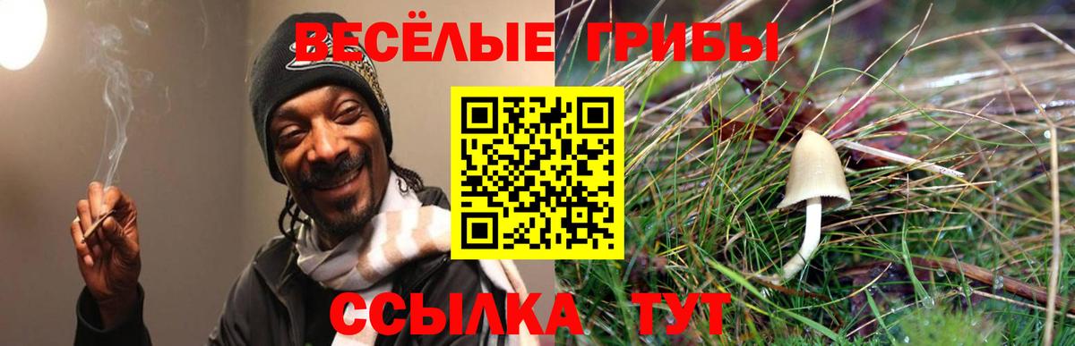Псилоцибиновые грибы ЛСД Гусь-Хрустальный