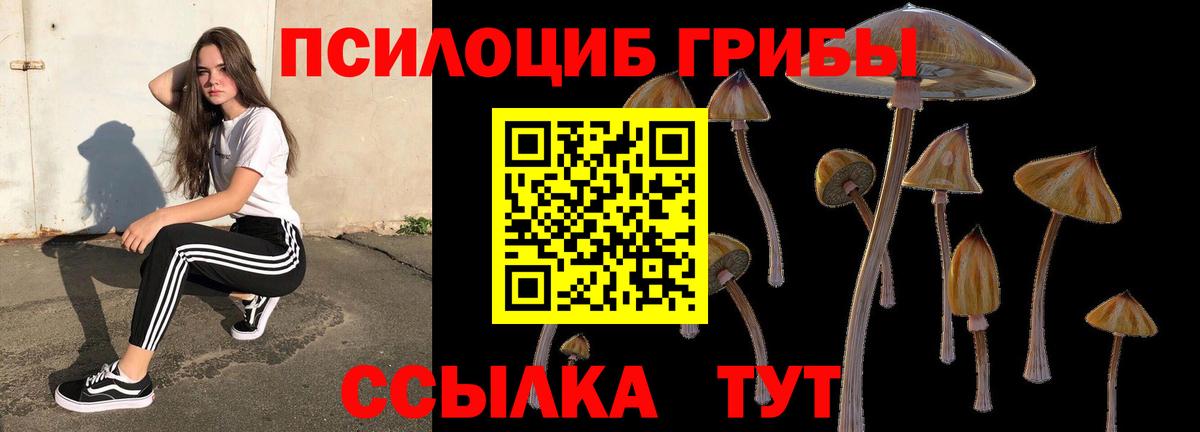 сколько стоит  Псилоцибиновые грибы мухоморы  Псилоцибиновые грибы ЛСД  Вход с VPN  Гусь-Хрустальный 